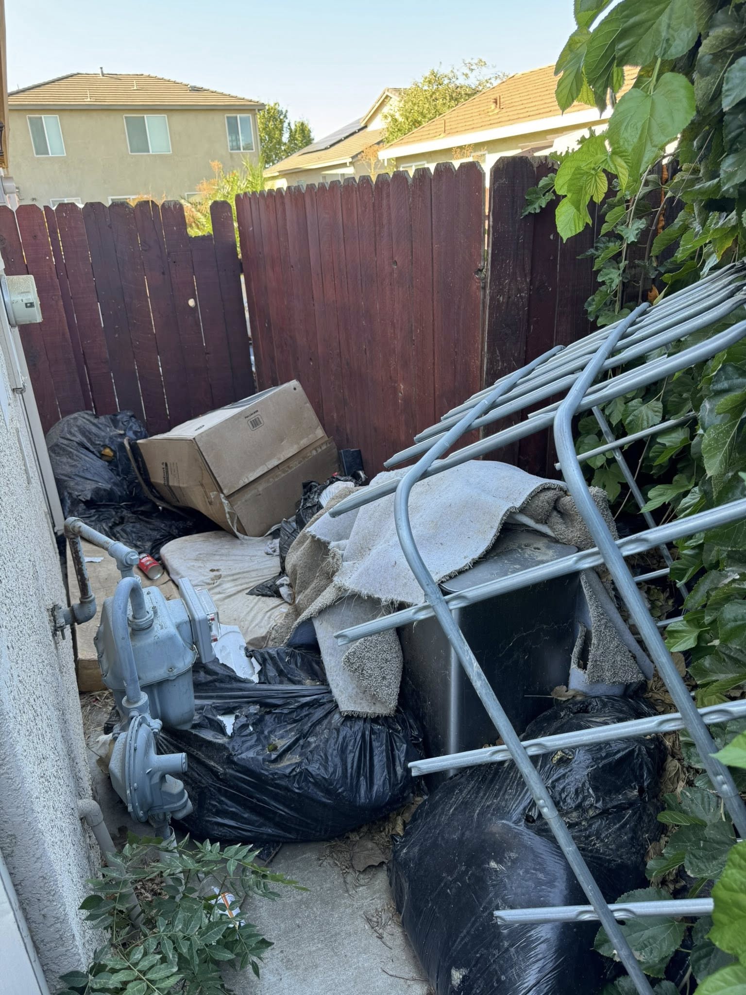 Before: side yard filled with junk, bags, and old furniture